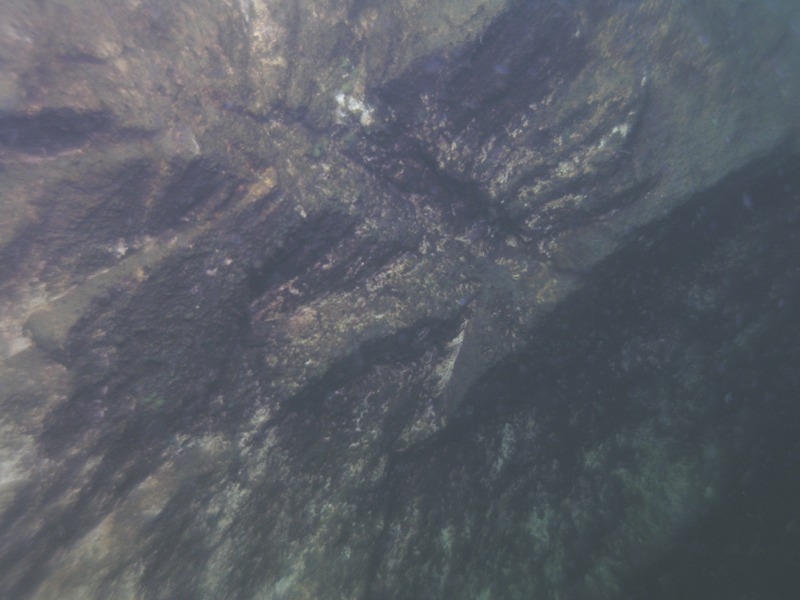 MK с ProDiving