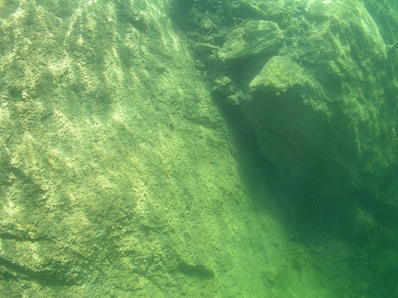 MK с ProDiving