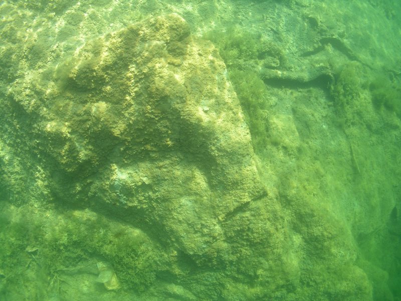 MK с ProDiving