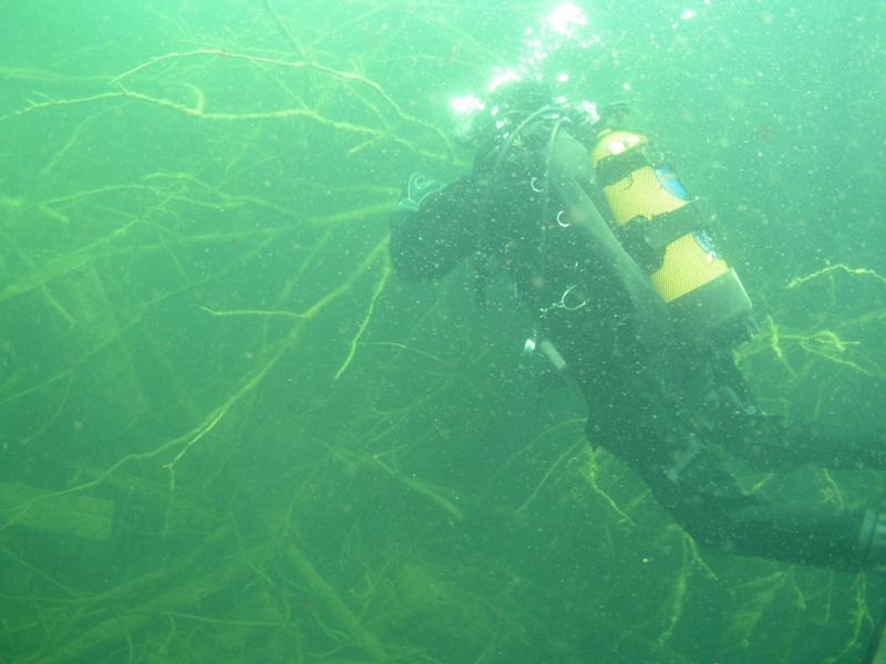 MK с ProDiving