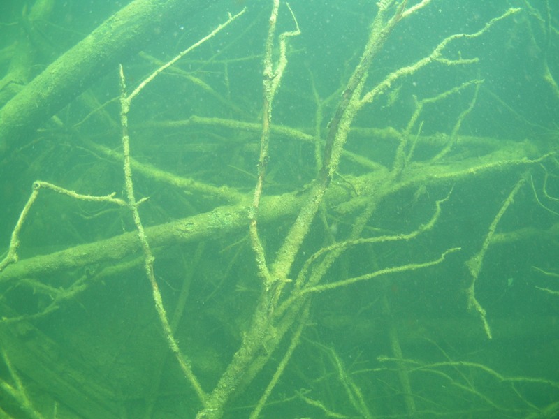 MK с ProDiving