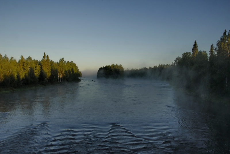 Баренцево 2010