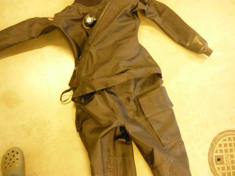 ursuit lady 1
