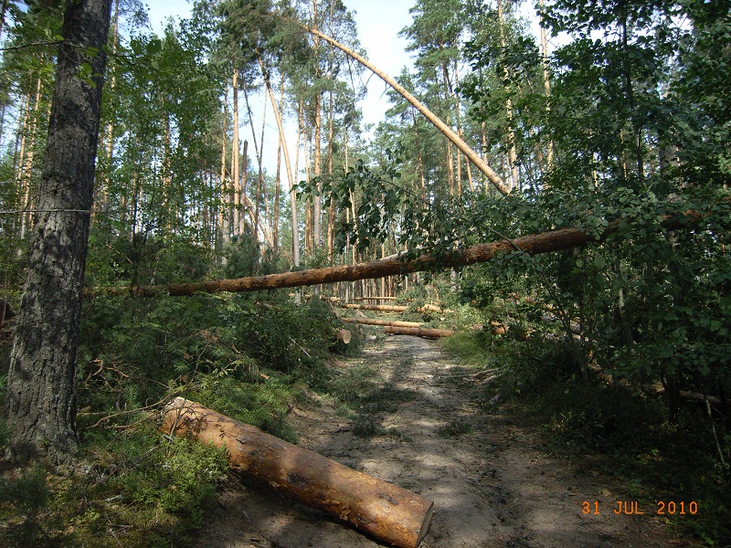 После бури 1