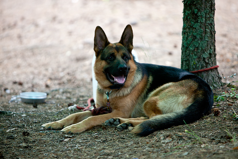 Курсы фридайвинга на озере Комонь Курсы фридайвинга на озере Комонь