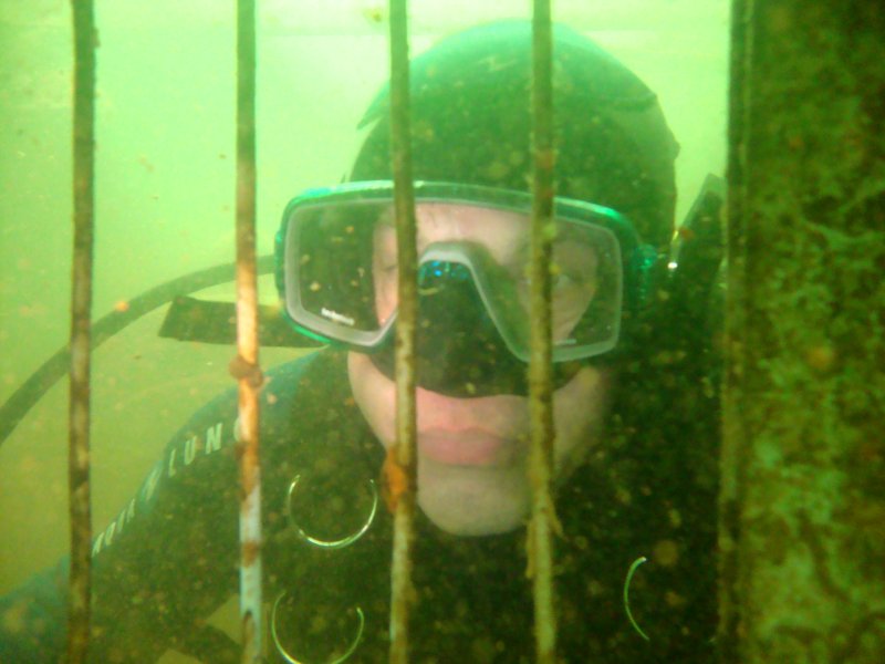 Замуровали, демоны! Замуровали, демоны!