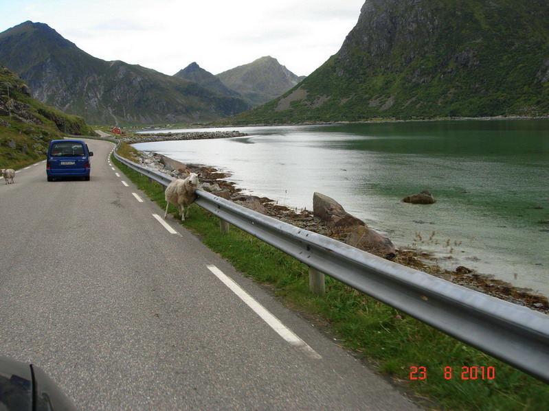 бухая оффца бухая оффца