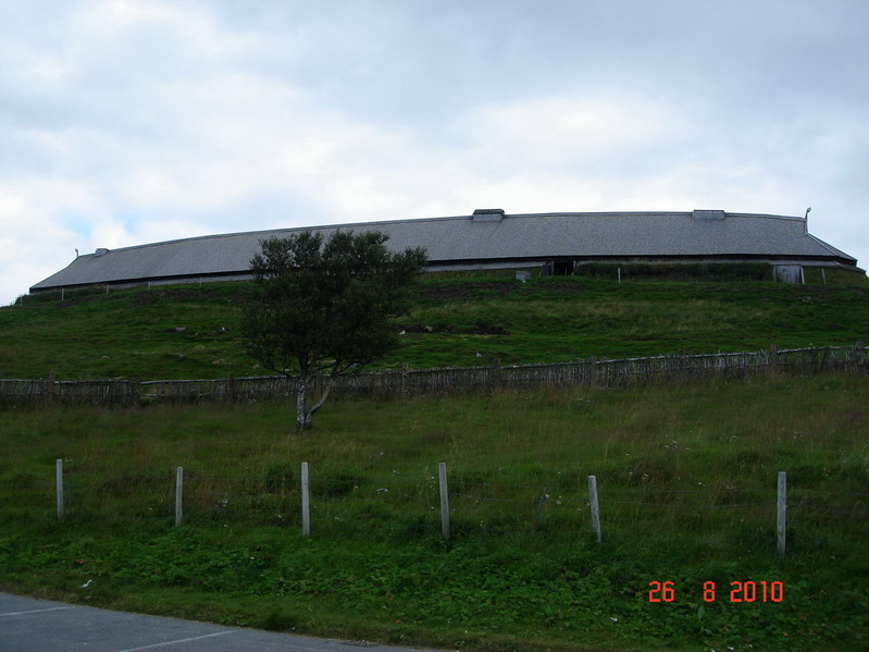 викинг-дом викинг-дом