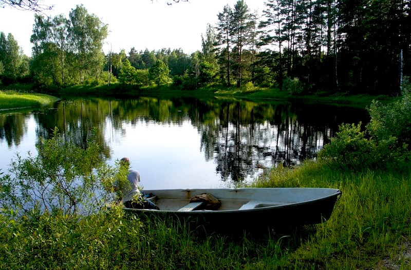 Излучина Плюссы Излучина Плюссы
