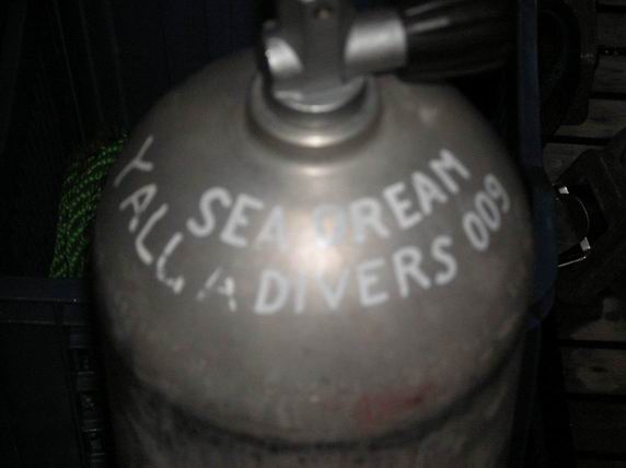 Дайв центр Дайв центр