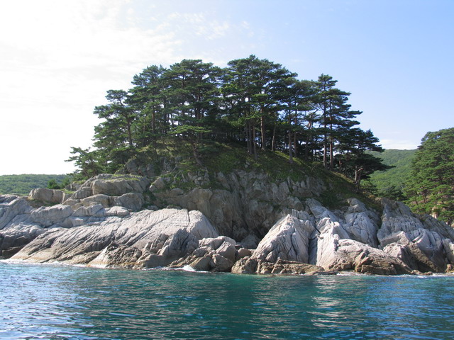 Дальний восток Дальний восток