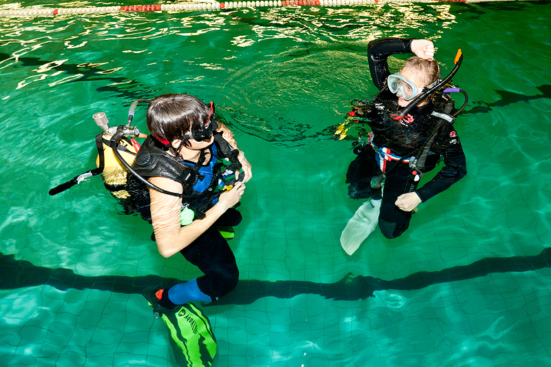 Белый тюлень. Клубный вечер. 22.09.10 Белый тюлень. Клубный вечер. 22.09.10