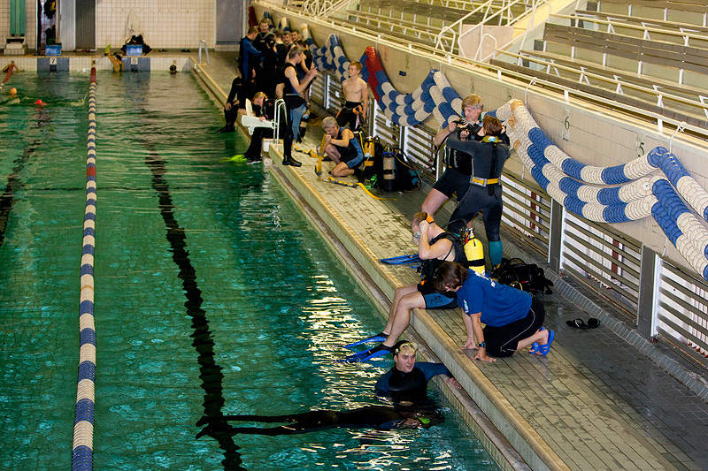 Белый тюлень. Клубный вечер. 27.09.10 Белый тюлень. Клубный вечер. 27.09.10