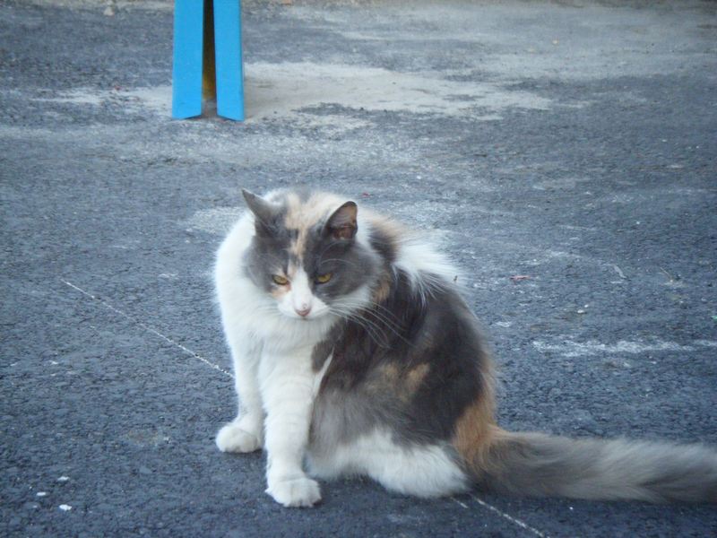 Мальта 2010