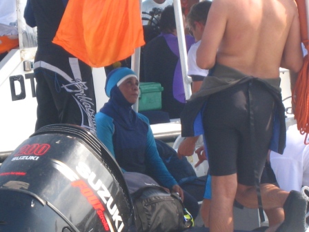 дайверша дайверша