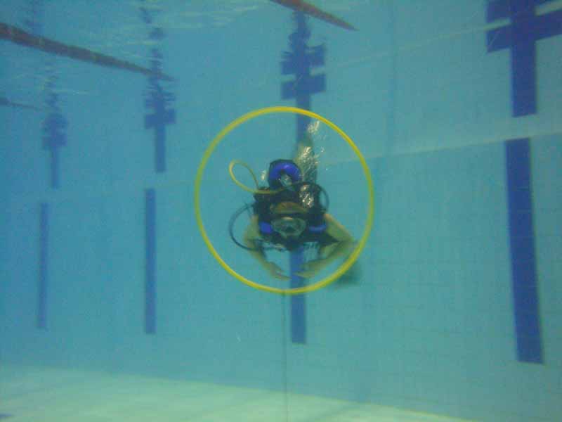 Бассейн клуба Лис Бассейн клуба Лис