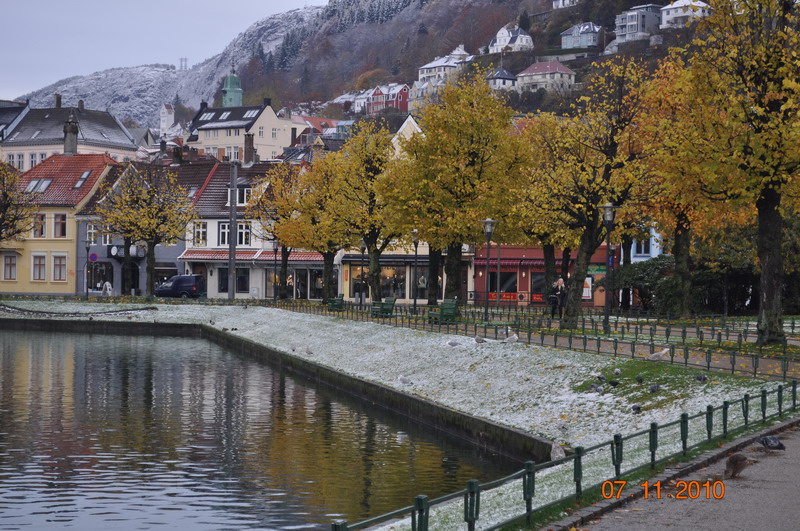 Gulen