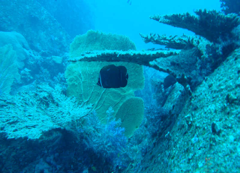 Таиланд декабрь 2010 Таиланд декабрь 2010