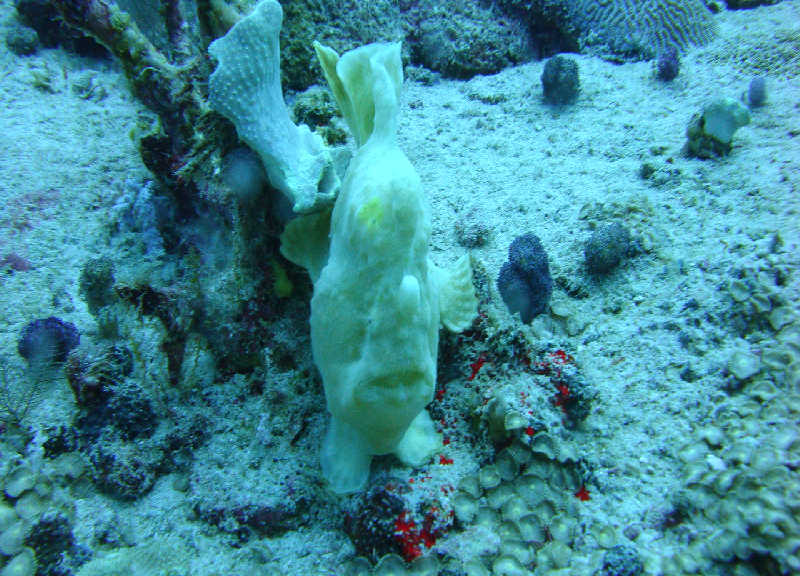 Таиланд декабрь 2010 Таиланд декабрь 2010