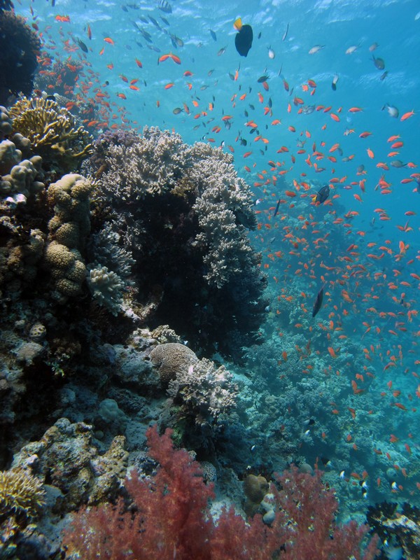 Хургада 01_11 Хургада 01_11