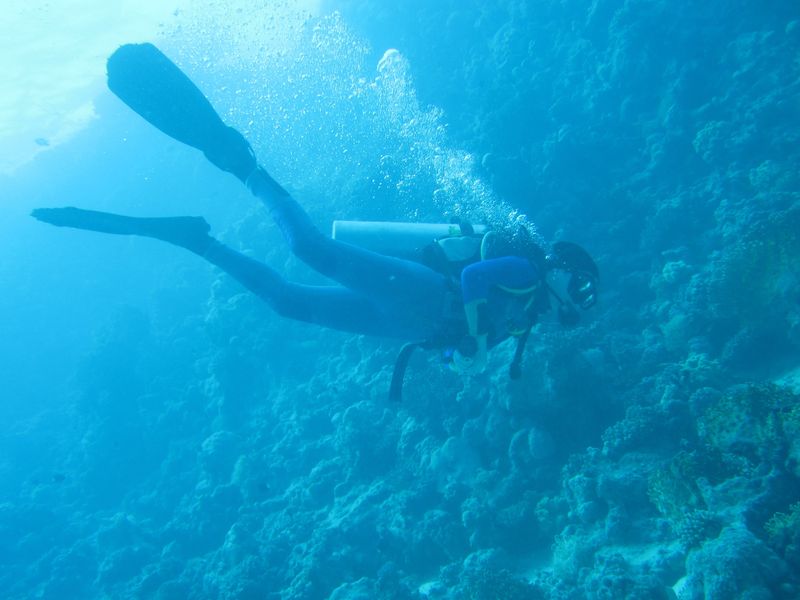 НГ 2011