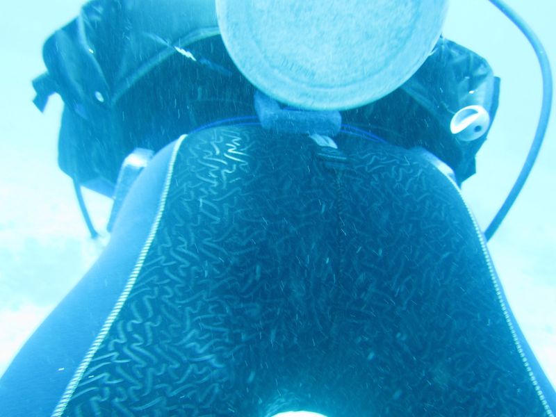 НГ 2011