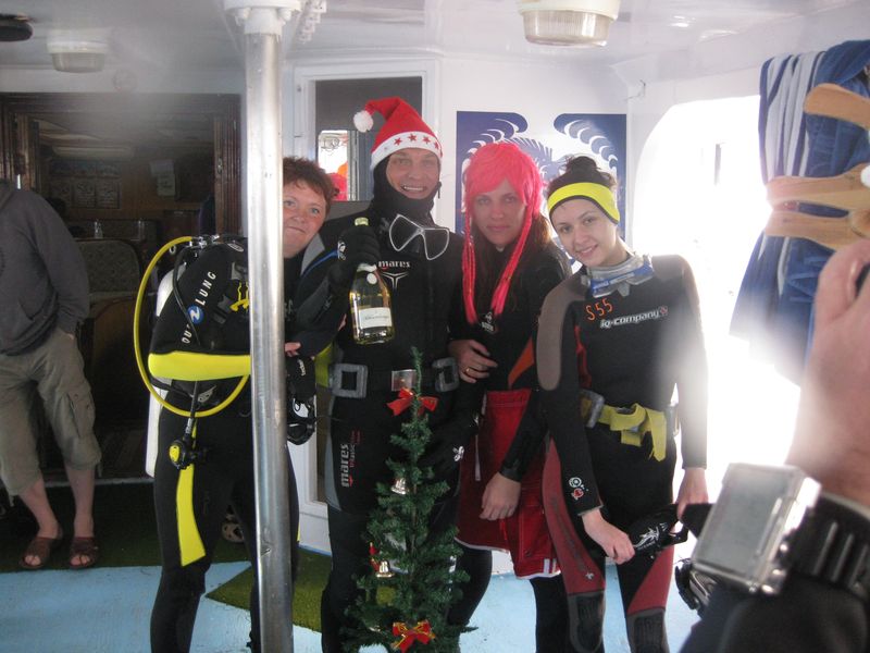 НГ 2011
