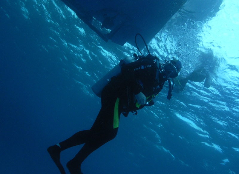 Vik 5