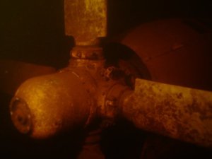 севастополь севастополь