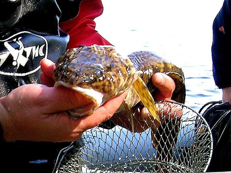 Открытие сезона 2007 года. Открытие сезона 2007 года.