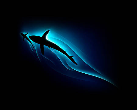 sharks