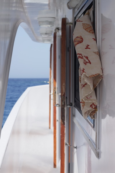 Сафари 04.06.2011-11.06.2011, JP Marine. Сафари 04.06.2011-11.06.2011, JP Marine.