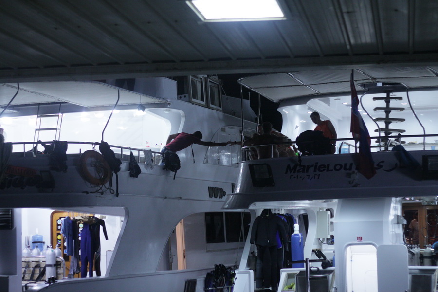 Сафари 04.06.2011-11.06.2011, JP Marine. Сафари 04.06.2011-11.06.2011, JP Marine.