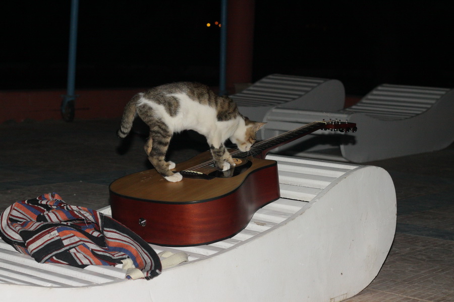 Сафари 04.06.2011-11.06.2011, JP Marine. Сафари 04.06.2011-11.06.2011, JP Marine.