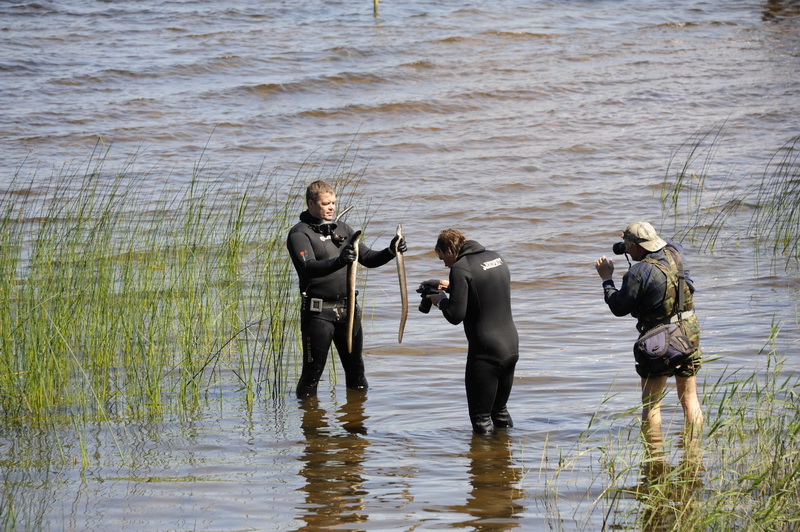 Охота Копанское 2011 Охота Копанское 2011