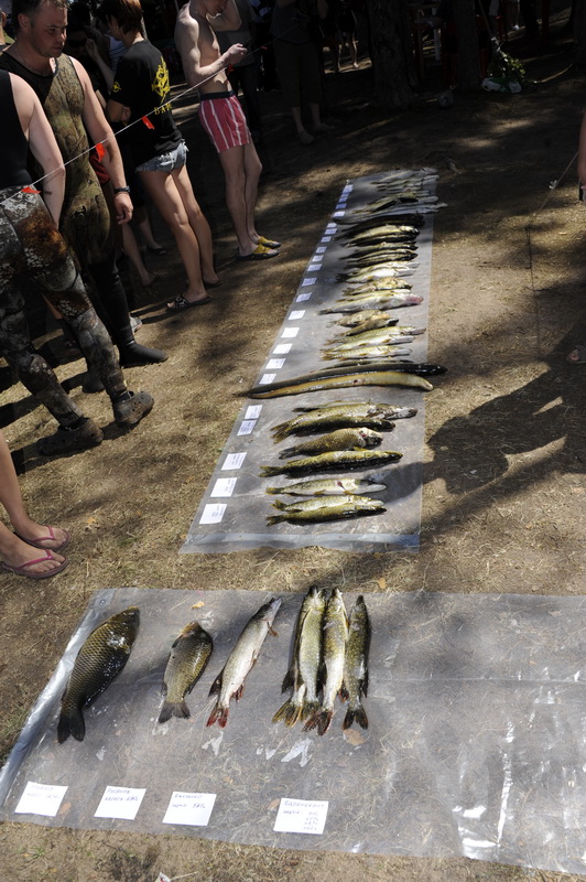 Охота Копанское 2011 Охота Копанское 2011