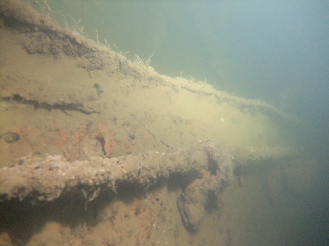 молога молога