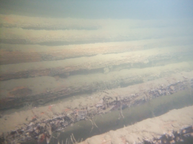 молога молога