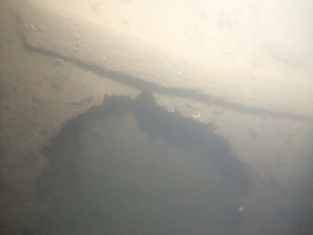 молога молога