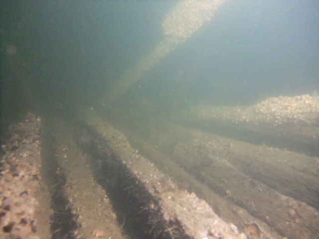 молога молога