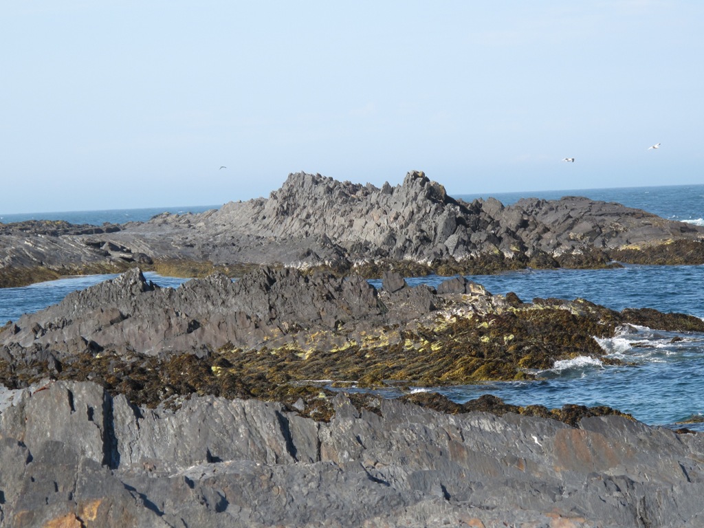 mysnemec4800.jpg mysnemec4800.jpg