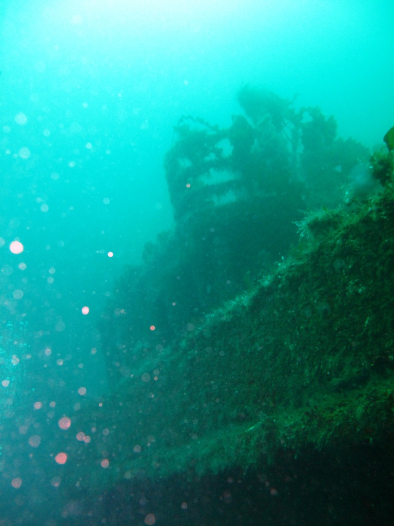 daivterib5457.jpg daivterib5457.jpg