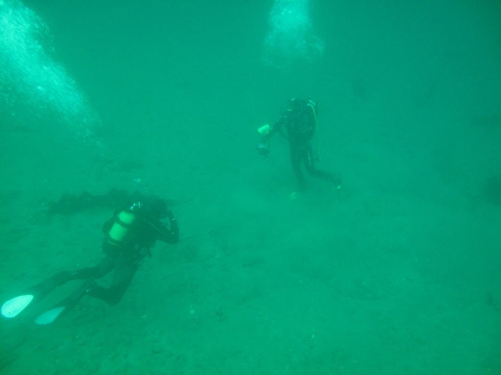 daivterib5498.jpg daivterib5498.jpg