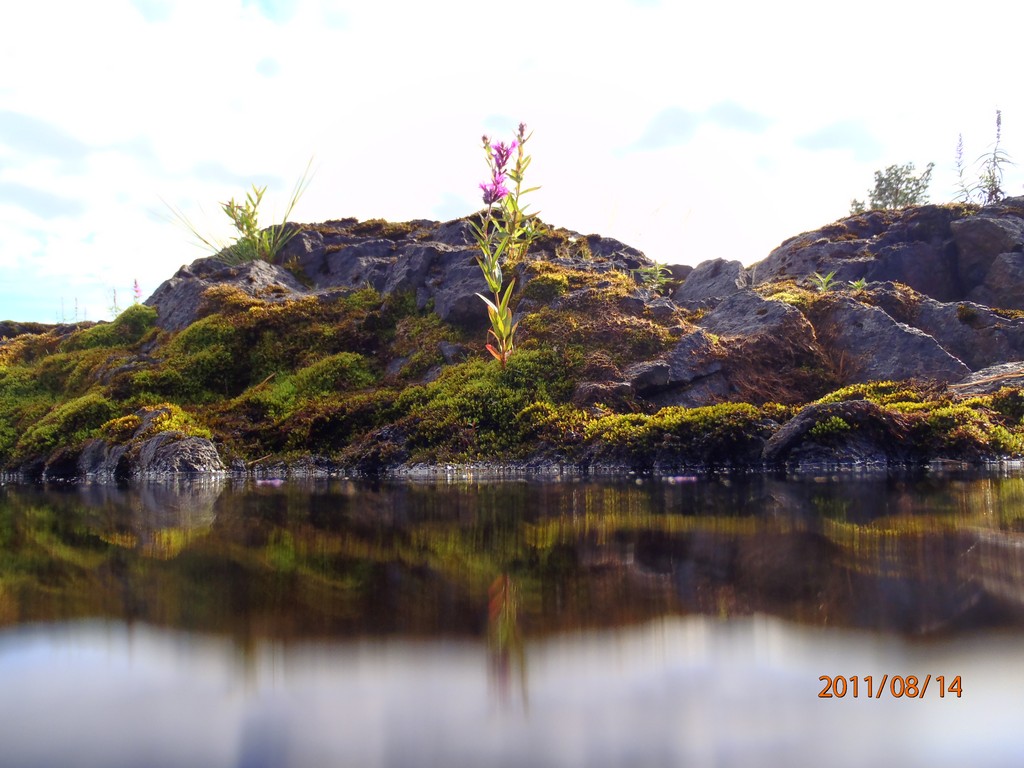 Ладога 2011. Морской Охотник. Ладога 2011. Морской Охотник.