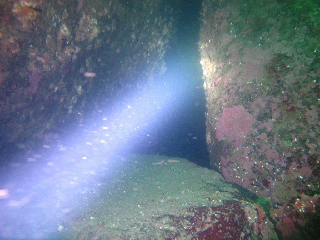 Фонарь Фонарь