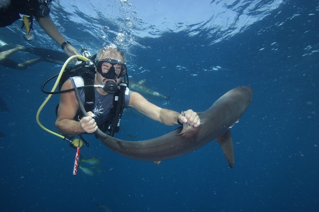 sCuba Diving с Дм.Холоденко!