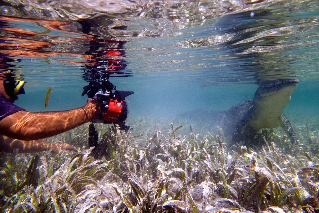 sCuba Diving с Дм.Холоденко!