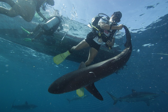 sCuba Diving с Дм.Холоденко!