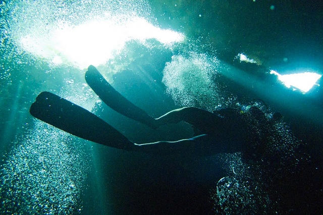 sCuba Diving с Дм.Холоденко!