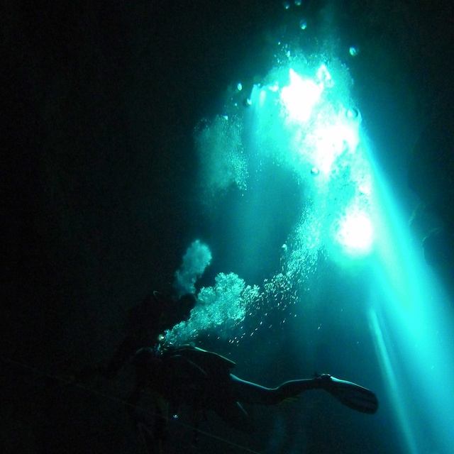 sCuba Diving с Дм.Холоденко!